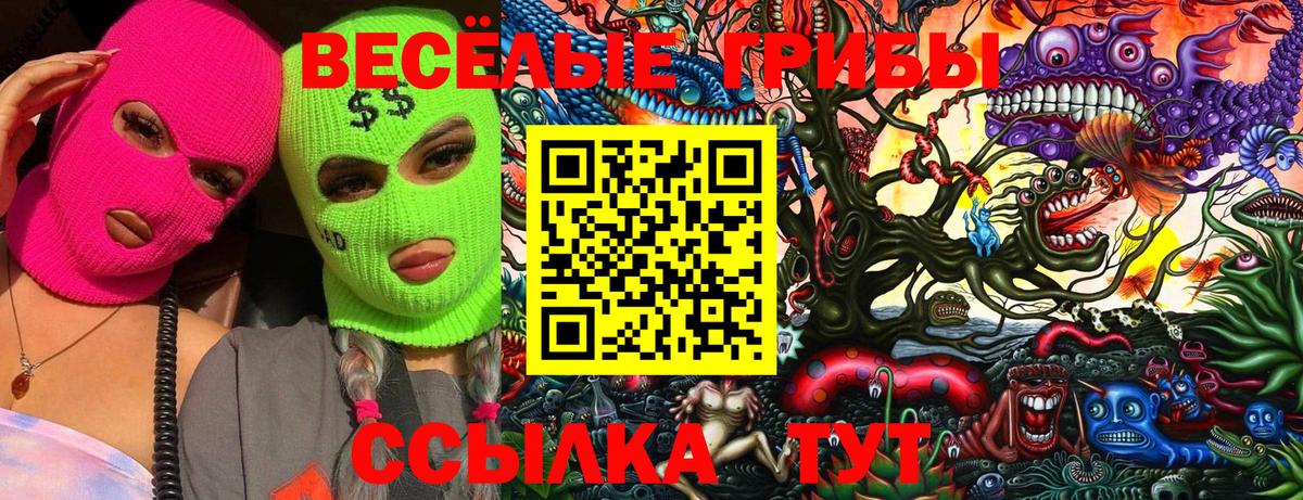 Псилоцибиновые грибы Psilocybine cubensis  Вход с VPN  Надым 